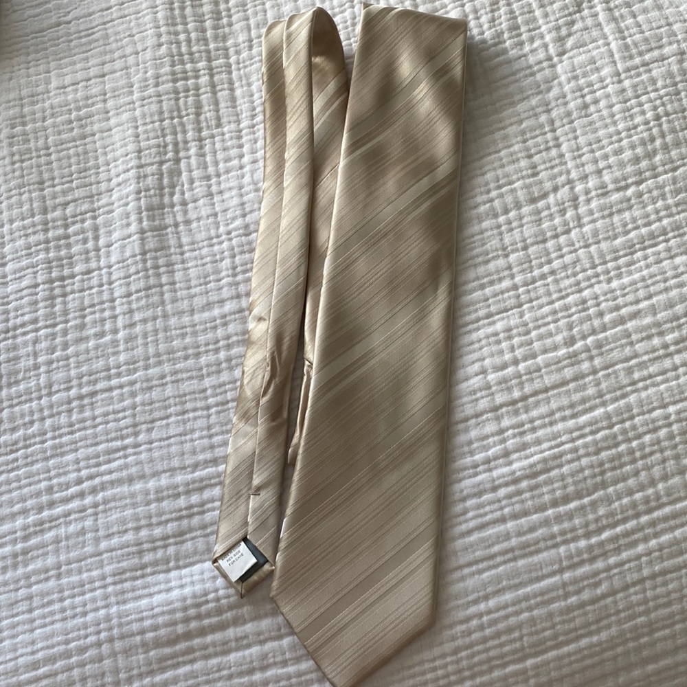 Mens Tan Stripe Tie